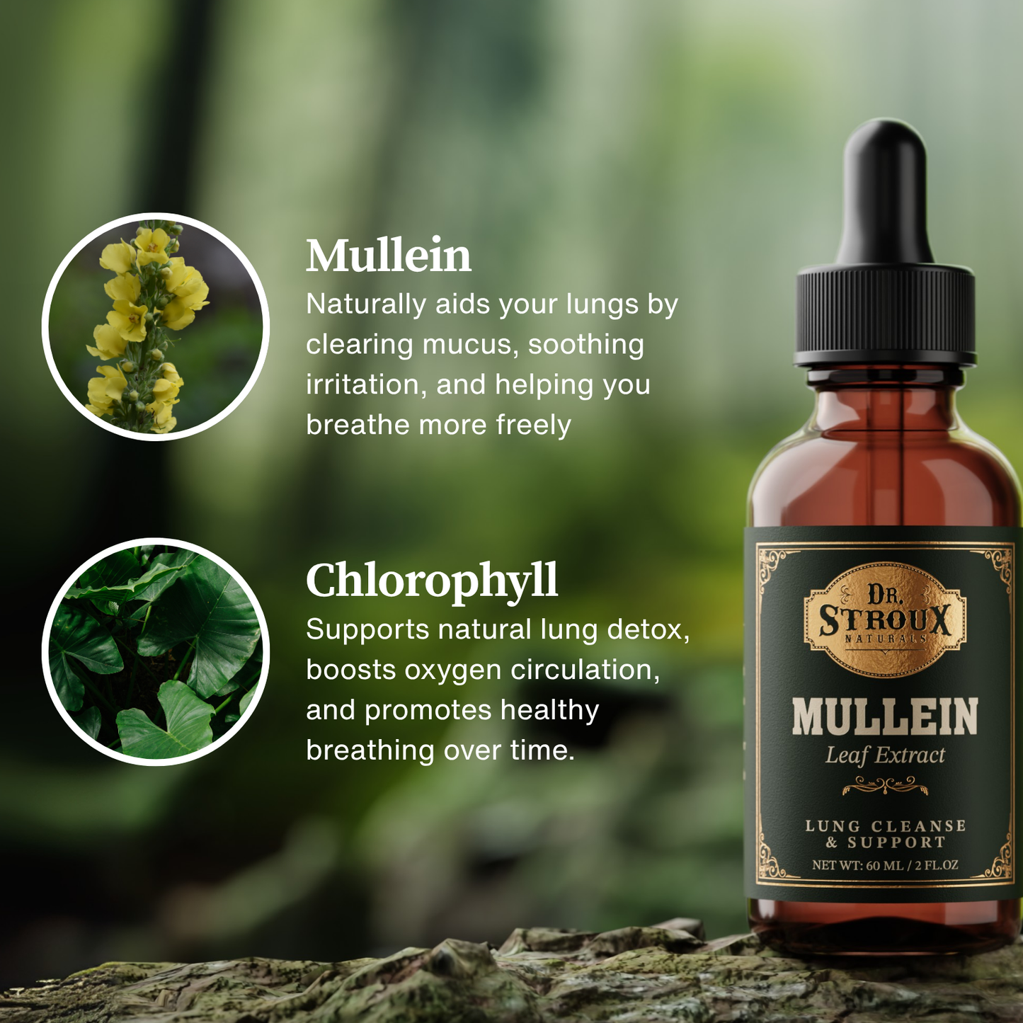 Mullein + Chlorophyll Lung Detox